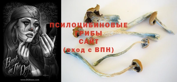 эйфоретик Майский