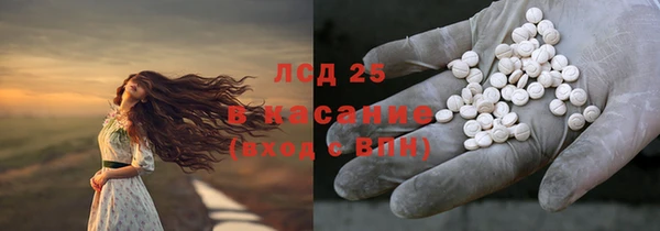 спиды Магас
