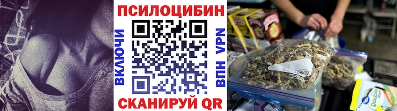Купить закладки  Чудово  Псилоцибиновые грибы ЛСД 