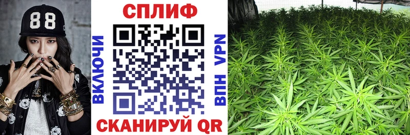 Купить закладки  Чудово  Бошки Шишки план 